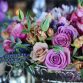 Floral & Decor